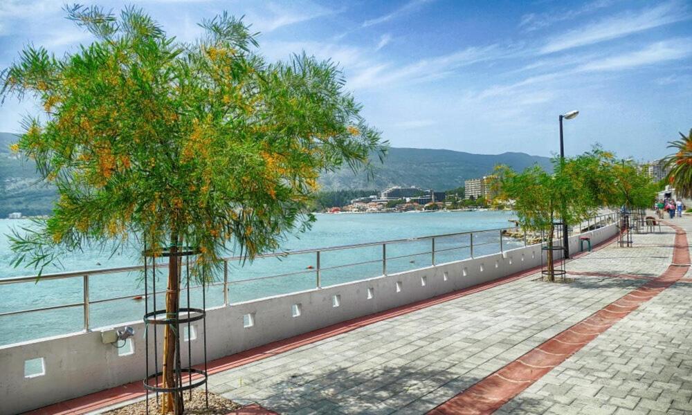 Villa Montanja Herceg Novi Buitenkant foto